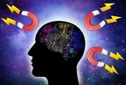 The law of attraction and the reality of COVID-19