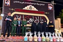 از بانوان فرهیخته کاشان در اجتماع 