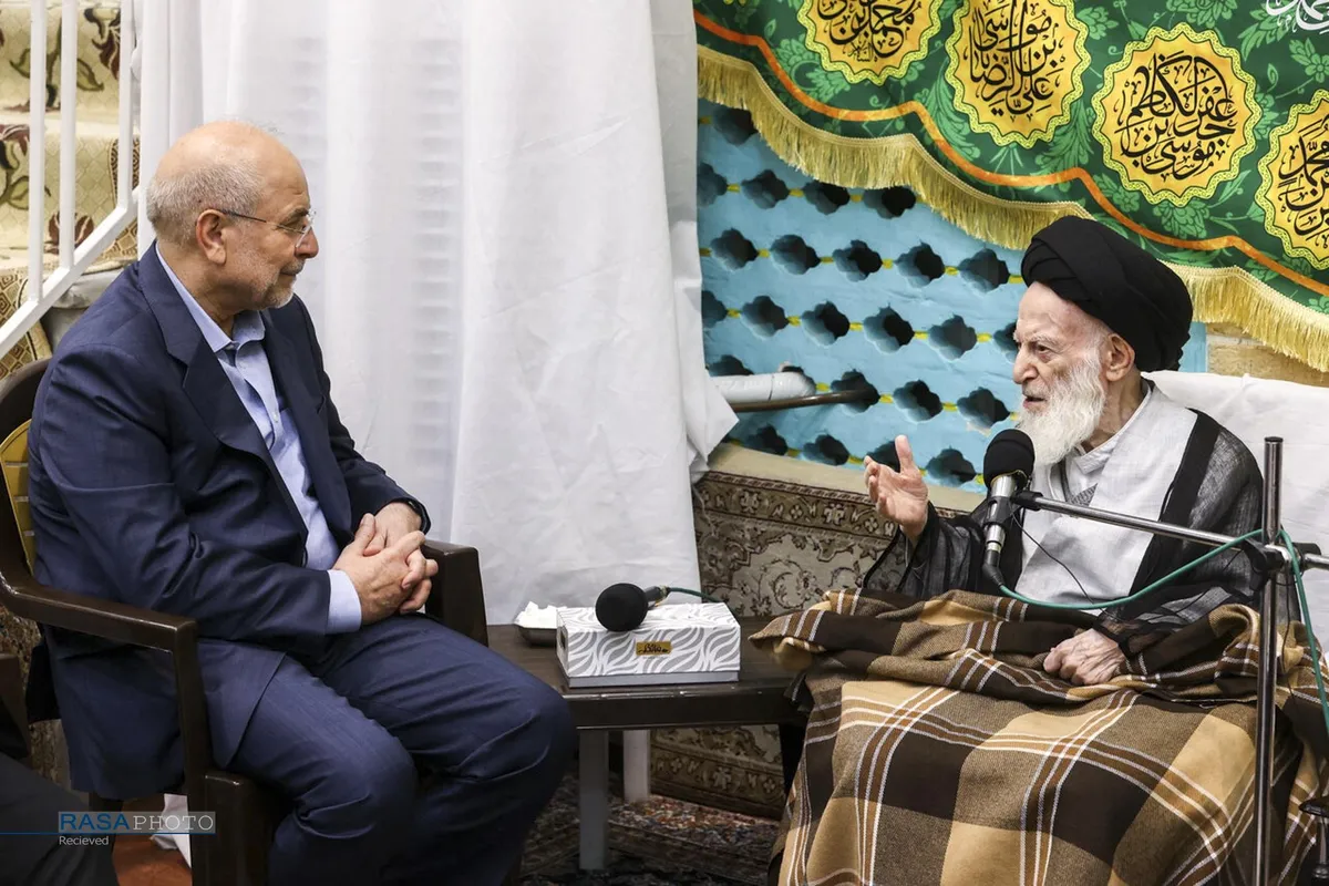دیدار رئیس مجلس شورای اسلامی با مراجع تقلید