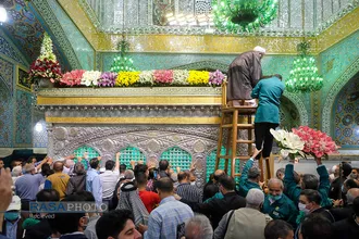 گل&zwnj;آرایی ضریح مطهر روضوی ویژه ولادت حضرت امام رضا (علیه السلام)