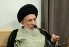 آیت الله حکیم کی جوانوں کو سیرت امام حسین(ع) سے متمسک ہونے کی تاکید